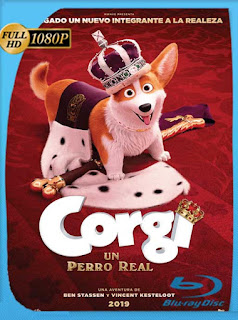 Corgi: Un perro real (2019) HD [1080p] Latino [GoogleDrive] SXGO