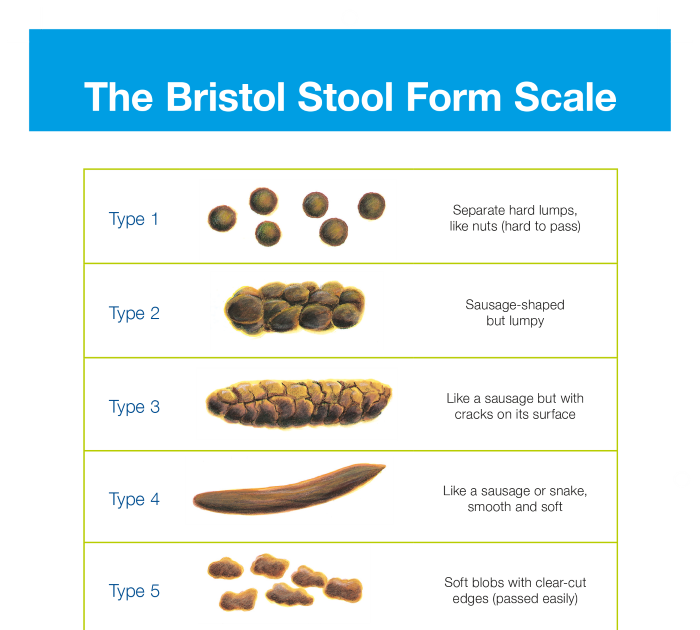 Bristol Stool Chart