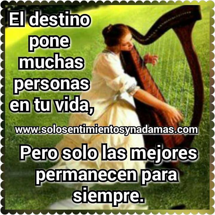 El destino pone muchas personas en tu vida. - Solo sentimientos y nada mas