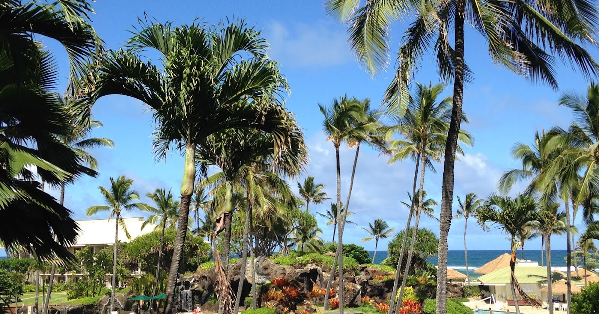 Kauai Real Estate For Sale Kauai Beach Resort Condos for Sale under