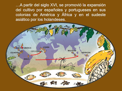 Expansión del cacao por el mundo en el siglo XVI.
