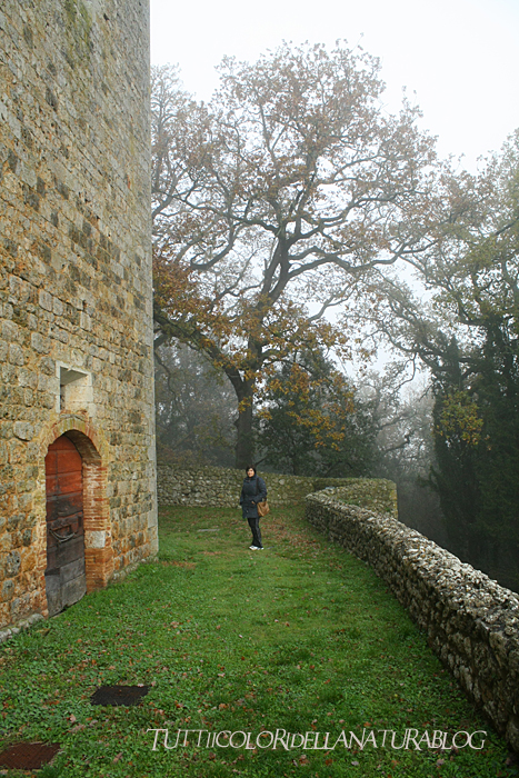 Tutti i colori della natura L' Eremo di San Leonardo al Lago, Siena
