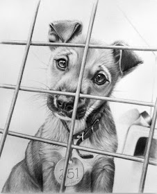 Arte Pinturas Óleo: Dibujos de Animales, Lápiz Sobre Papel