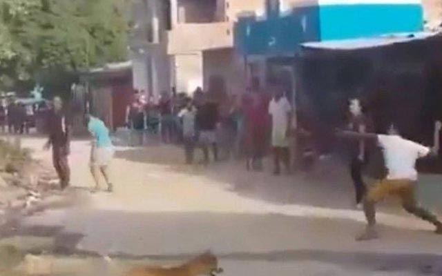 Mulher tem casa apedrejada por vizinhos após trocar senha do Wi-Fi; vídeo