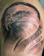 The Meaning of Eagle Tattoos   After Inked Tattoo Aftercare Cream