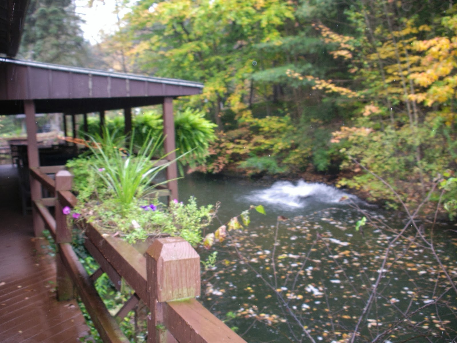 Nuts From the Family Tree Cleveland The Trout Club