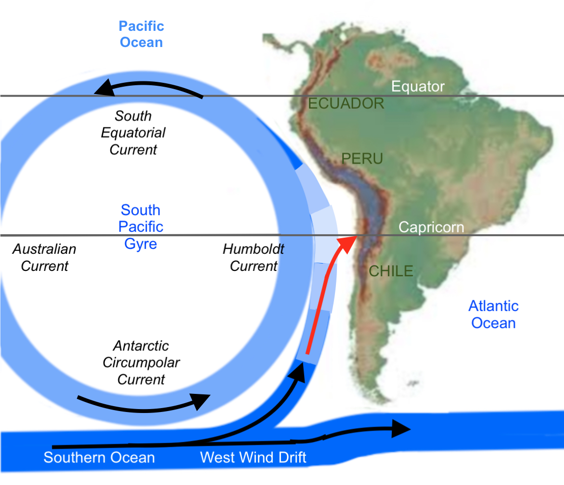 Перуанское течение является. Перуанское Холодное течение. Холодные течения перуанское. Перуанское течение на карте. Перуанское Холодное течение Южная Америка.