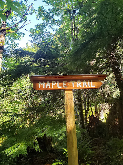 Maple trail at Morrell Sanctuary