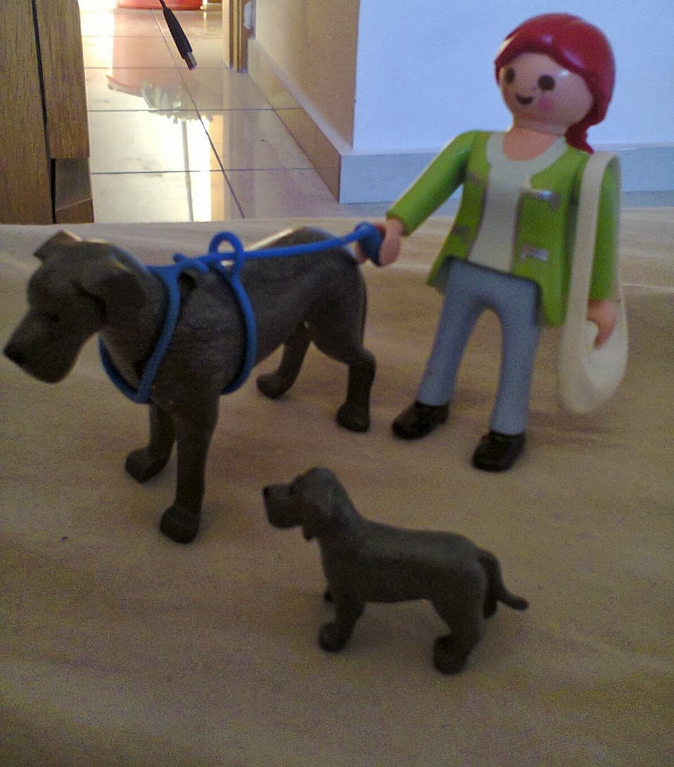 Travel Cyprus With Your Dog Getting to Cyprus... with your dog