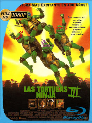 Las Tortugas Ninja III (1993) [1080p] Latino [GoogleDrive] [MasterAnime]