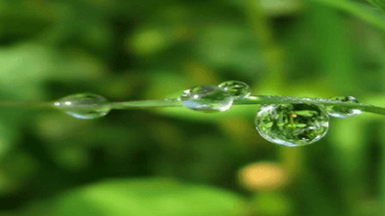 Contoh Puisi Pendek Beserta Maknanya