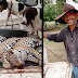 VÍDEO: Matador de onças é procurado pela polícia no MT