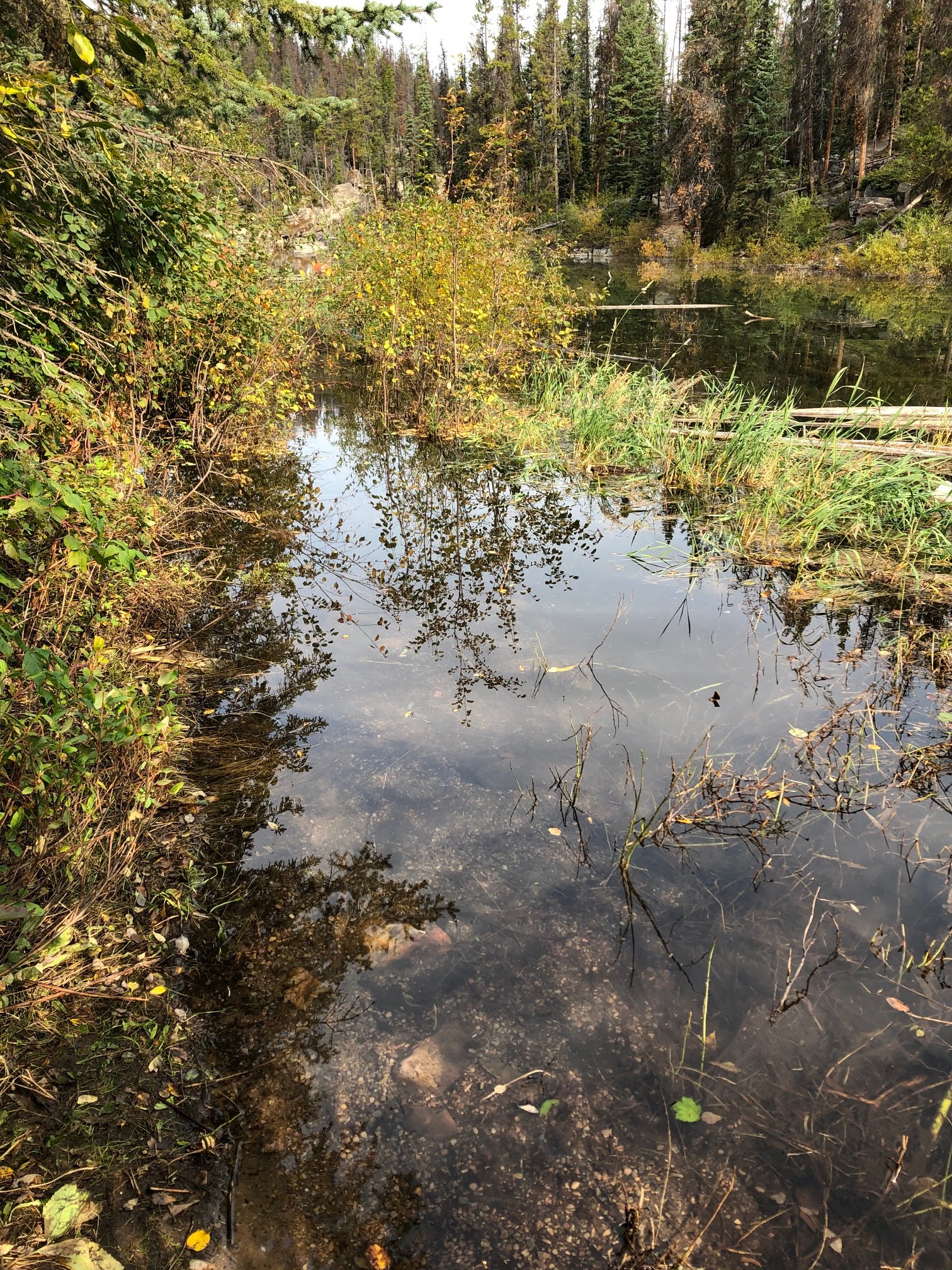 Paddling Near Edmonton, Alberta, Canada Horseshoe Lake, Jasper