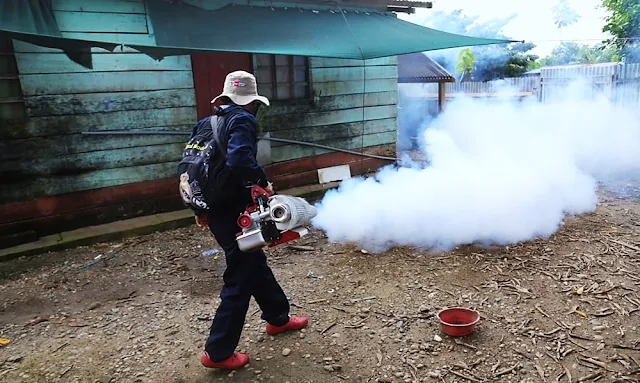 Ministerio de Salud lucha contra el dengue