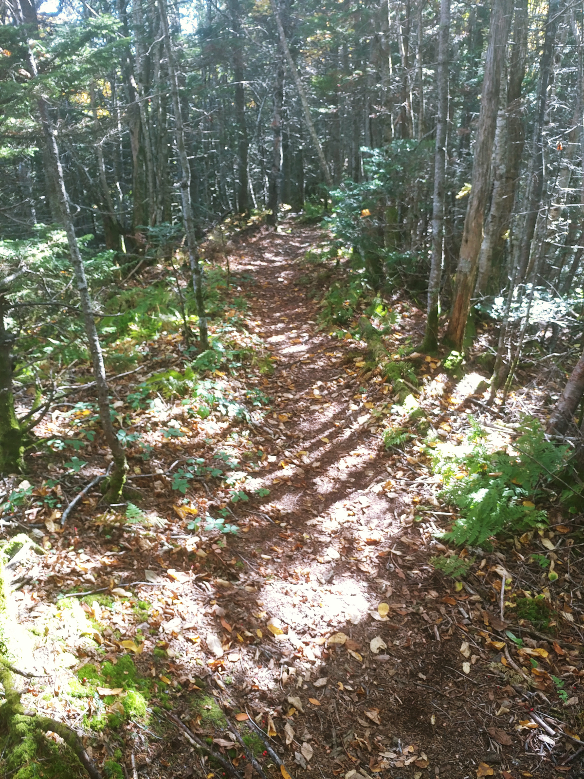 A Hiker's Guide to the NH48 Tripyramids Loop