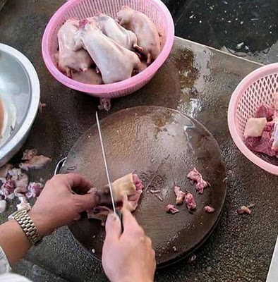 Wow Ayam Goreng Special Thailand