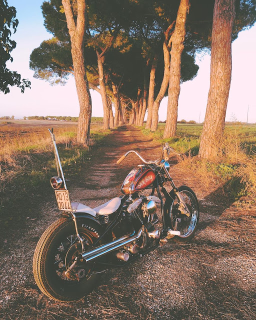 Harley Davidson Shovelhead By Marco Maggiore Hell Kustom