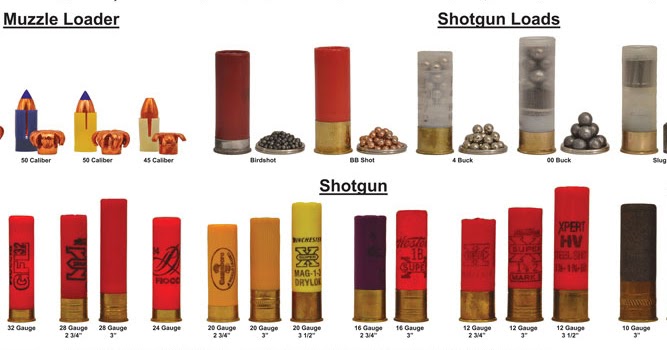Shotgun Shell Gauge and Load Comparison Chart.