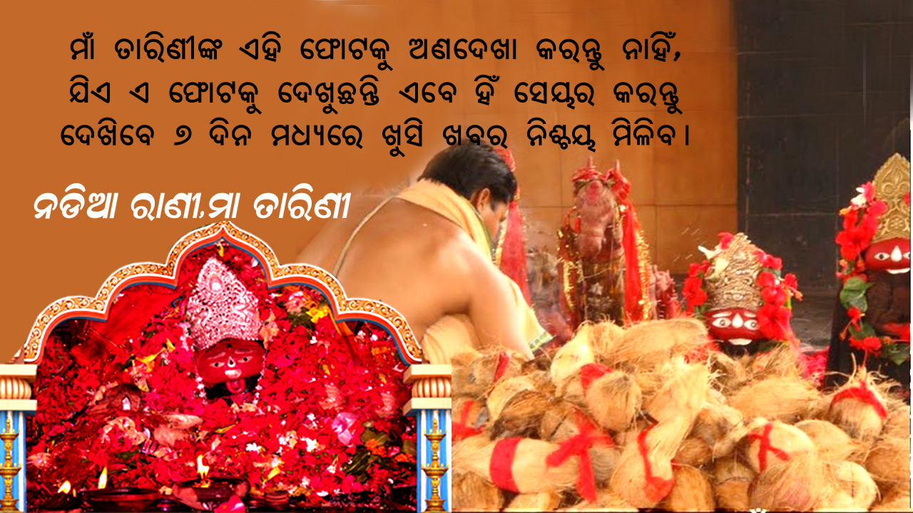 About Maa Tarini Dukha Harini,Ghatgaon Tarini Photo Gallery Odia99