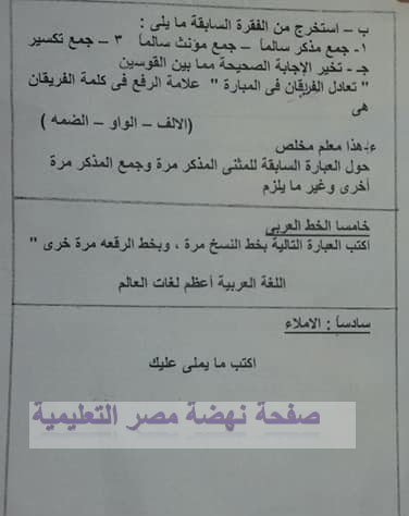مجمع الإمتحانات الفعلية لغة عربية   للصف الخامس ترم أول 2020 81542677_2634206233478041_929737025173585920_n
