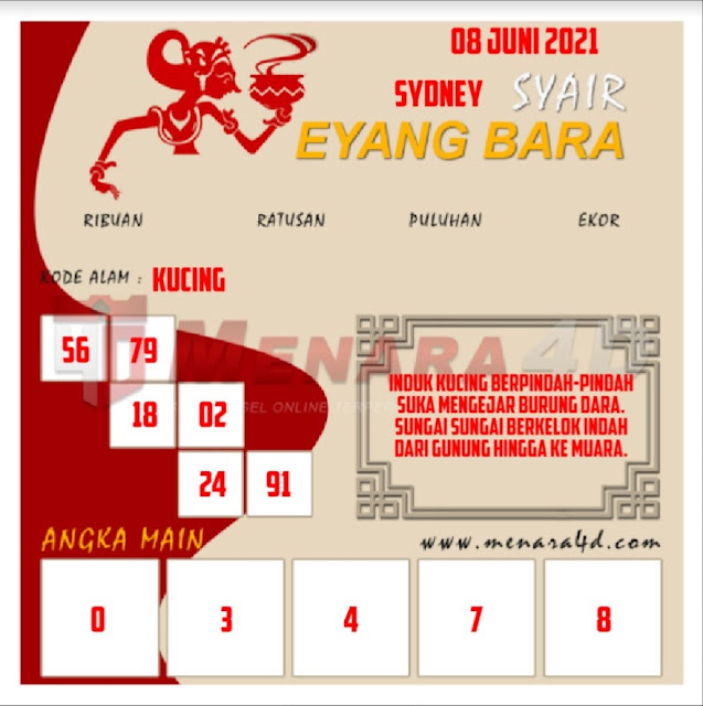 sdy selasa