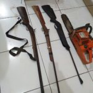Armas de fogo e animais silvestres são apreendidos em São João do Sóter