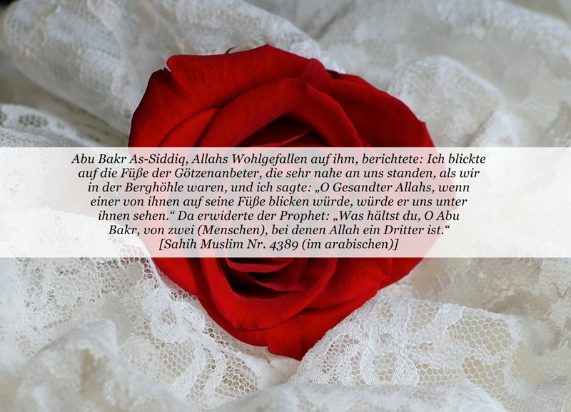 Der Perfekte Islam Islam Blog Einer Konvertierten Muslima Der Perfekte Islam Islam Blog Einer Konvertierten Muslima