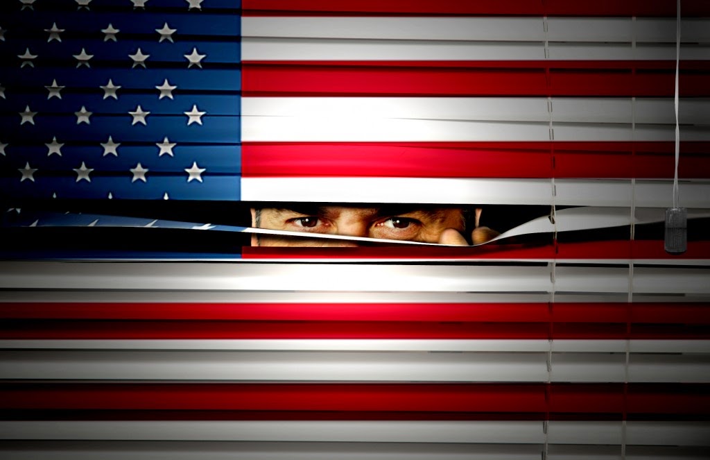 NSA & Domestic Spying