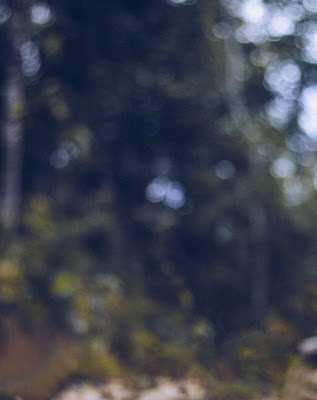 Bokeh Blur Nature Background Free Stock Bokeh Blur Nature Background Free Stock