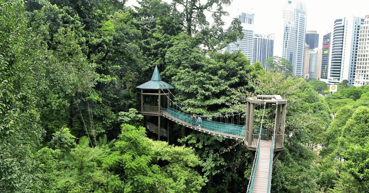 KL Forest Eco Park