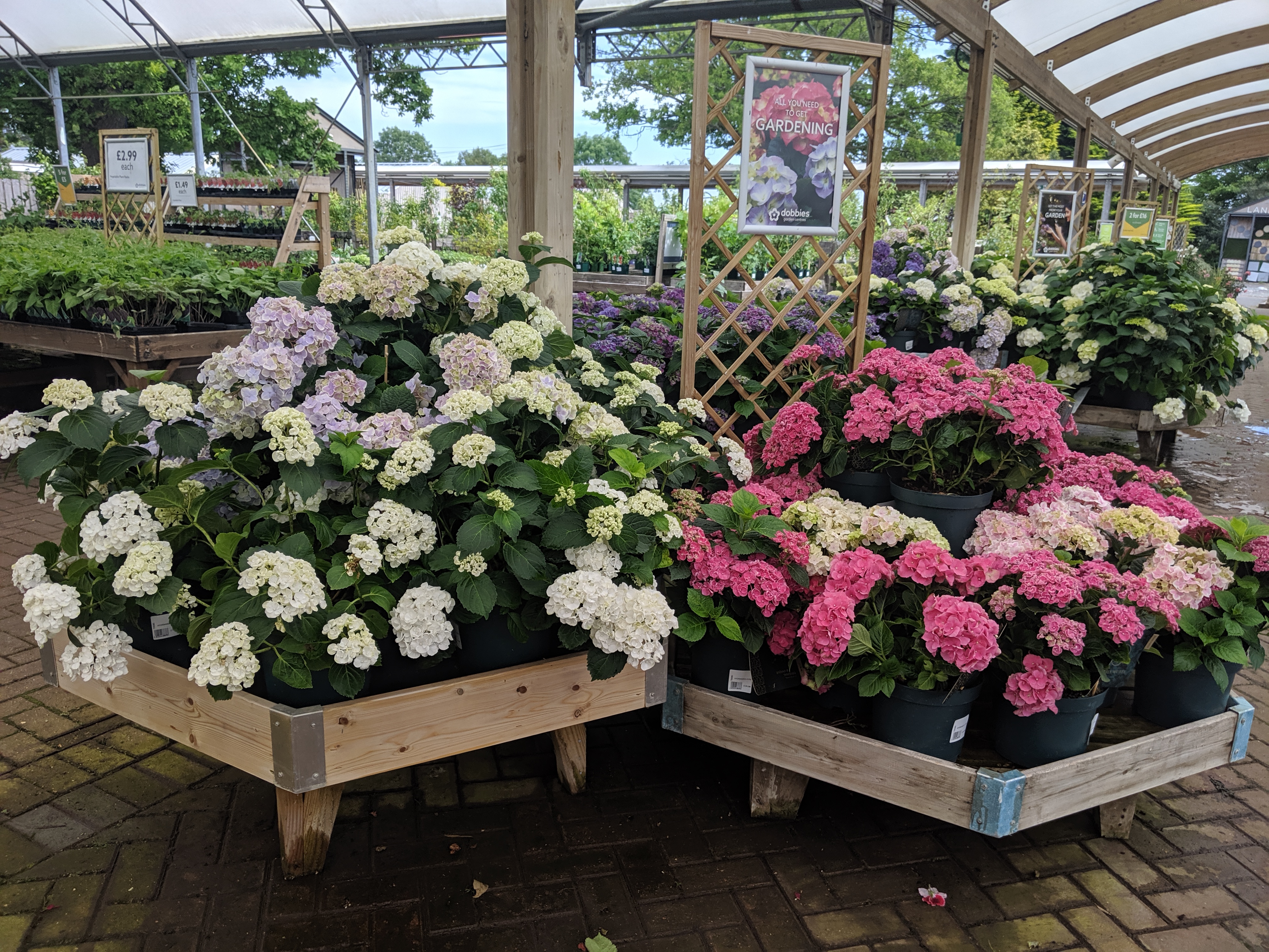 Dinosaur Crazy Golf & Dobbies Garden Centre Morpeth North East Family Fun