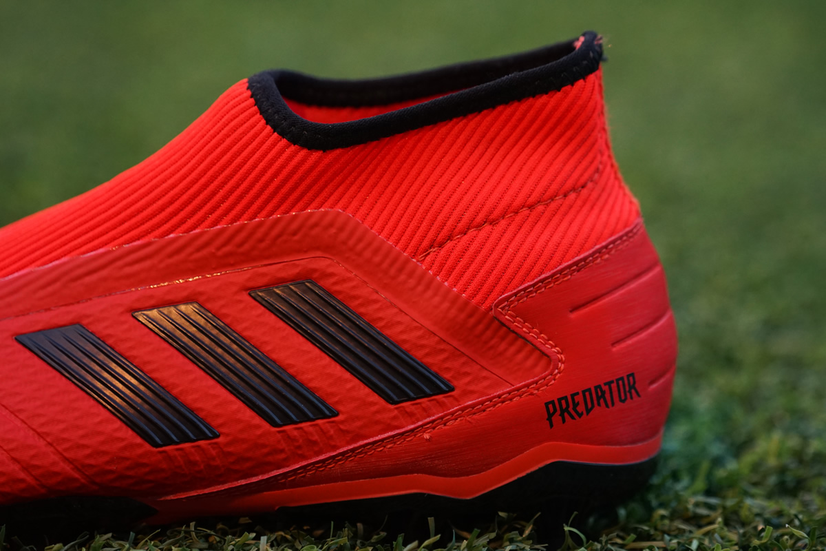 salomon dialogue autofit