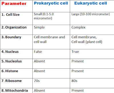Prokaryotic Cell Vs Eukaryotic cell- 24 Key Major Differences