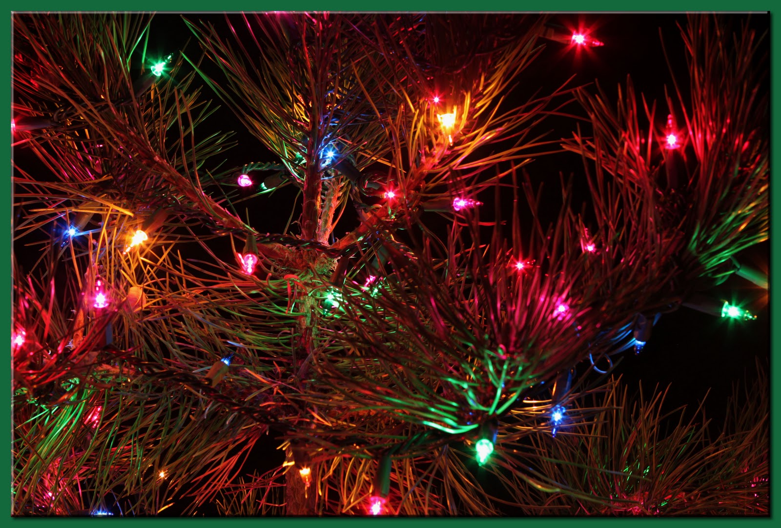 Walk the Dog, Dave December, Day 4 A Charlie Brown Christmas Tree