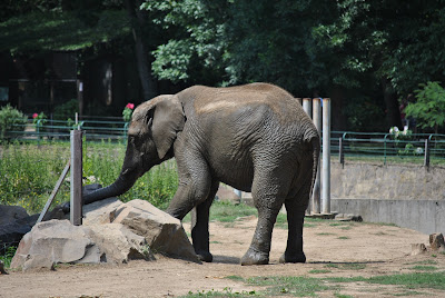 zoo Nyiregyhaza