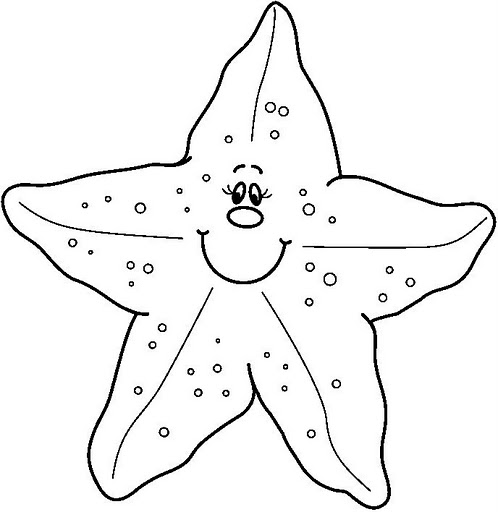 Estrella De Mar Fotos Para Imprimir Imagui