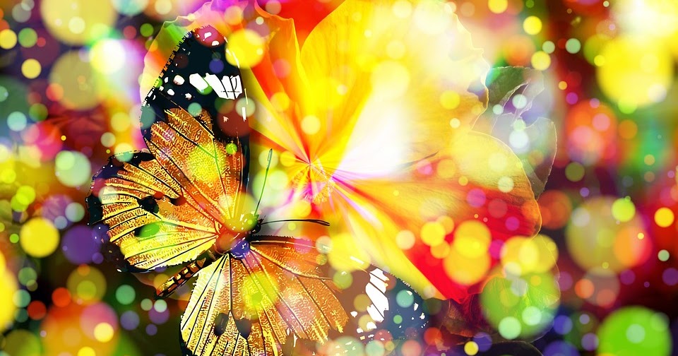 Rezension Heidelinde Penndorf Wenn Ich Konnte Wie Ich Wollte