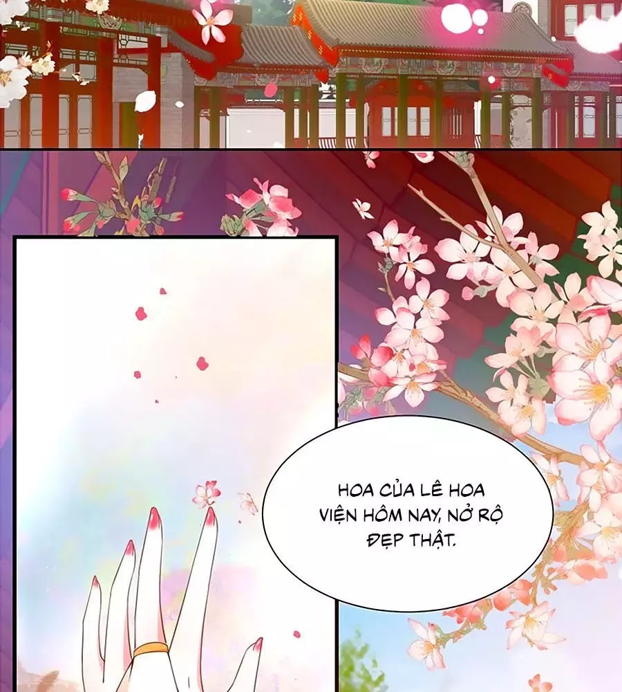 Thịnh Thế Lê Hoa Điện Chapter 92 - TC Truyện