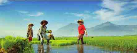 wilayah daratan negara kesatuan republik indonesia wilayah daratan negara kesatuan republik indonesia