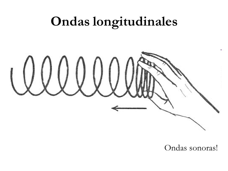 ONDAS LONGITUDINALES Y TRANSVERSALES ONDAS LONGITUDINALES Y TRANSVERSALES