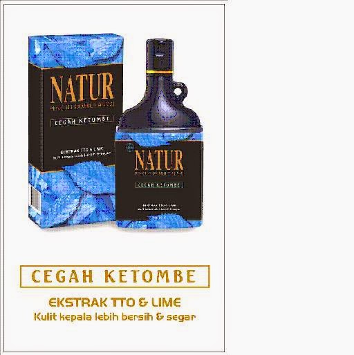 6 (Enam) Review Shampo Anti Ketombe dan pilihannya adalah