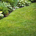 When to remove grass from the garden