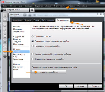 Opera_cookie