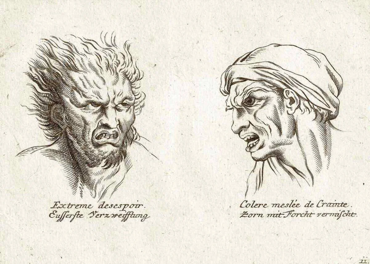 Ausprägung der Physiognomie 2 Auspraegung der Physiognomie