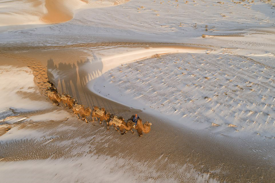 Снег в пустыне Гоби, Монголия