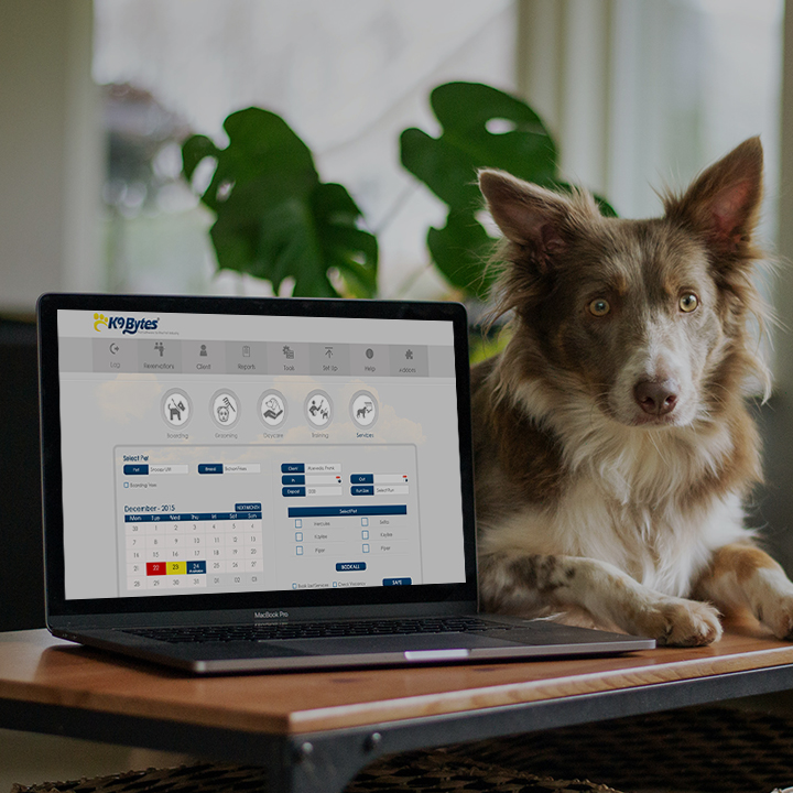 K9sky Dog Grooming Computer Software