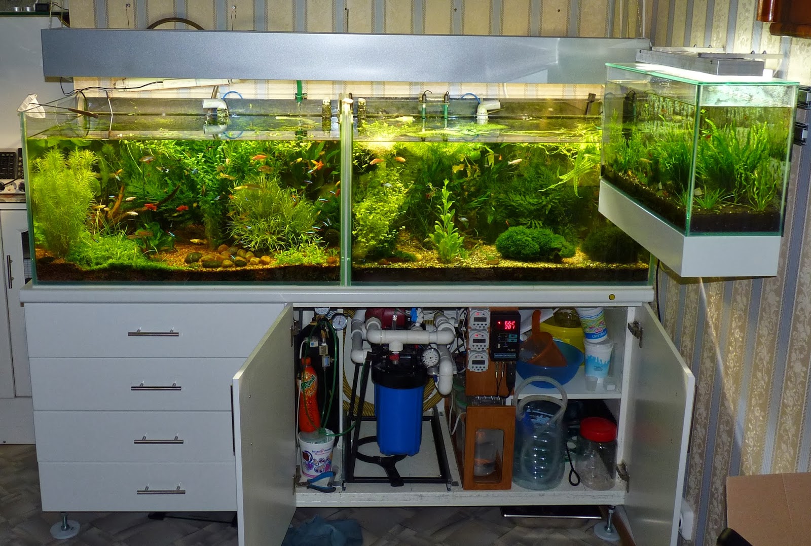 фильтр для аквариума. Sunsun 1800fd аквариум. Jebo 810. обустройство аквариума для рыбок. как правильно установить аквариум для рыбок.