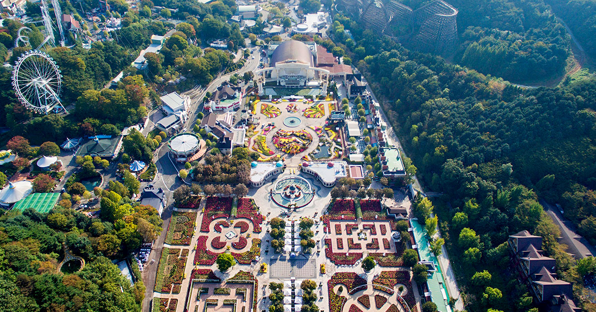 Эверленд корея Эверленд корея