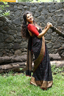 Roshini Prakash Saree Stills From Jada Movie Audio Launch