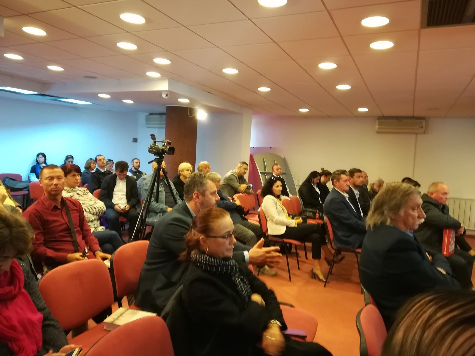 Moara lui Gelu Biblioteca Judeţeană "Petre Dulfu" Baia Mare. Tratat